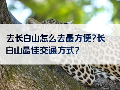 去长白山怎么去最方便？长白山最佳交通方式？