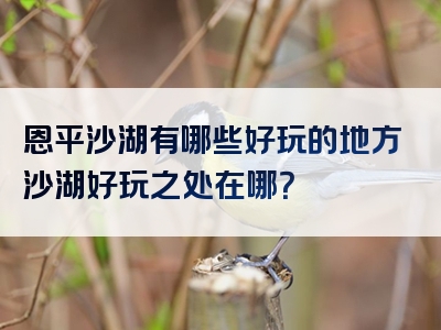 恩平沙湖有哪些好玩的地方沙湖好玩之处在哪？