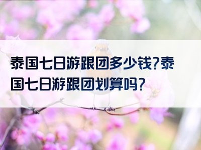 泰国七日游跟团多少钱？泰国七日游跟团划算吗？