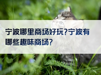 宁波哪里商场好玩？宁波有哪些趣味商场？