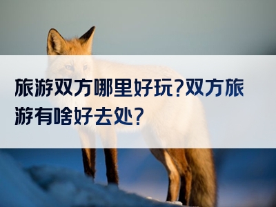 旅游双方哪里好玩？双方旅游有啥好去处？