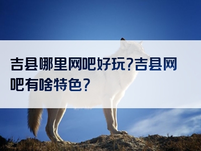 吉县哪里网吧好玩？吉县网吧有啥特色？