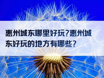 惠州城东哪里好玩？惠州城东好玩的地方有哪些？