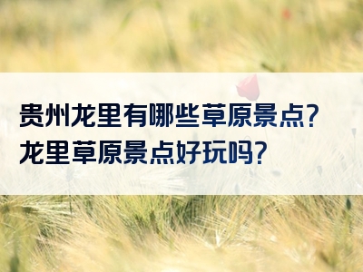 贵州龙里有哪些草原景点？龙里草原景点好玩吗？