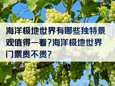 海洋极地世界有哪些独特景观值得一看？海洋极地世界门票贵不贵？