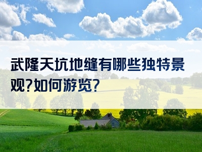 武隆天坑地缝有哪些独特景观？如何游览？