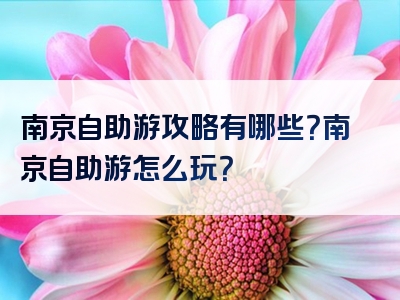 南京自助游攻略有哪些？南京自助游怎么玩？
