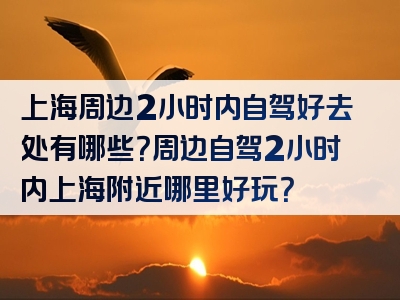 上海周边2小时内自驾好去处有哪些？周边自驾2小时内上海附近哪里好玩？