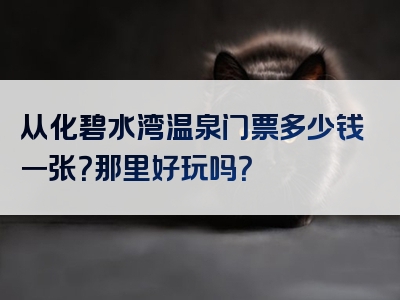 从化碧水湾温泉门票多少钱一张？那里好玩吗？