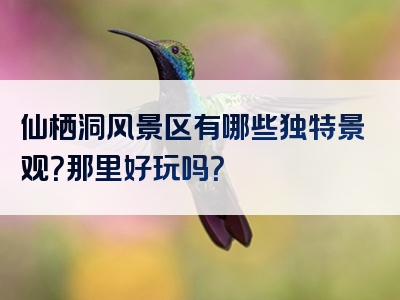 仙栖洞风景区有哪些独特景观？那里好玩吗？