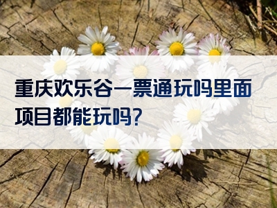重庆欢乐谷一票通玩吗里面项目都能玩吗？