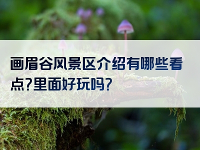 画眉谷风景区介绍有哪些看点？里面好玩吗？