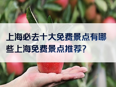 上海必去十大免费景点有哪些上海免费景点推荐？