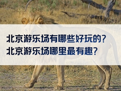 北京游乐场有哪些好玩的？北京游乐场哪里最有趣？