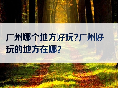 广州哪个地方好玩？广州好玩的地方在哪？