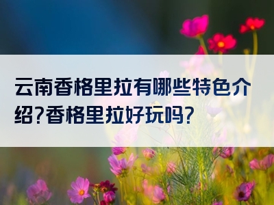云南香格里拉有哪些特色介绍？香格里拉好玩吗？