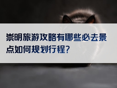 崇明旅游攻略有哪些必去景点如何规划行程？