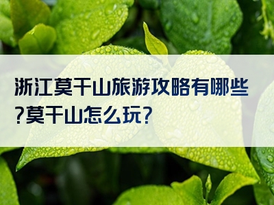浙江莫干山旅游攻略有哪些？莫干山怎么玩？