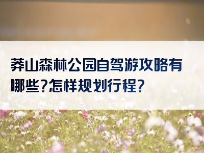 莽山森林公园自驾游攻略有哪些？怎样规划行程？