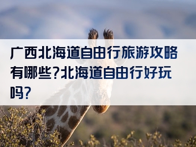 广西北海道自由行旅游攻略有哪些？北海道自由行好玩吗？