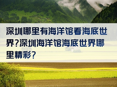 深圳哪里有海洋馆看海底世界？深圳海洋馆海底世界哪里精彩？