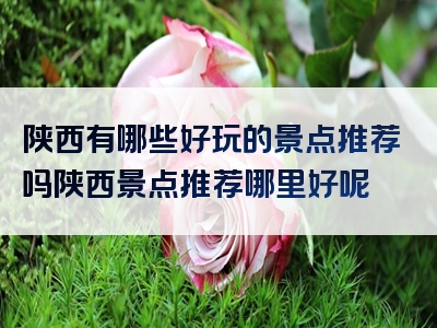 陕西有哪些好玩的景点推荐吗陕西景点推荐哪里好呢