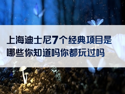 上海迪士尼7个经典项目是哪些你知道吗你都玩过吗