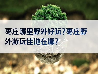 枣庄哪里野外好玩？枣庄野外游玩佳地在哪？