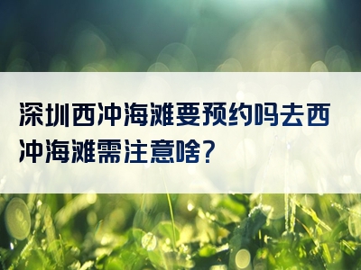 深圳西冲海滩要预约吗去西冲海滩需注意啥？