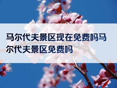 马尔代夫景区现在免费吗马尔代夫景区免费吗
