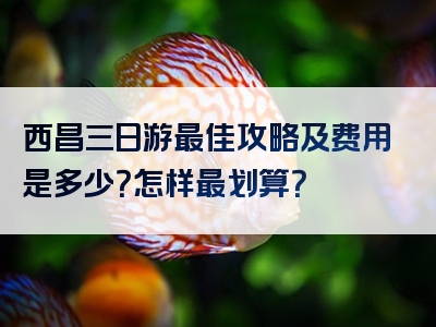 西昌三日游最佳攻略及费用是多少？怎样最划算？