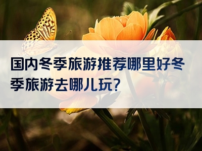 国内冬季旅游推荐哪里好冬季旅游去哪儿玩？
