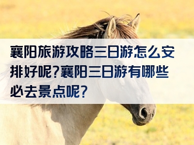 襄阳旅游攻略三日游怎么安排好呢？襄阳三日游有哪些必去景点呢？
