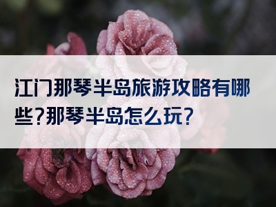 江门那琴半岛旅游攻略有哪些？那琴半岛怎么玩？