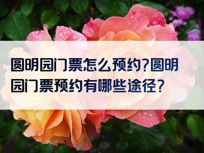 圆明园门票怎么预约？圆明园门票预约有哪些途径？