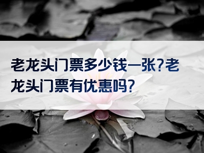 老龙头门票多少钱一张？老龙头门票有优惠吗？