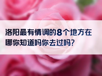 洛阳最有情调的8个地方在哪你知道吗你去过吗？