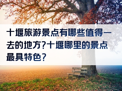 十堰旅游景点有哪些值得一去的地方？十堰哪里的景点最具特色？