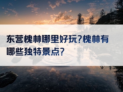 东营槐林哪里好玩？槐林有哪些独特景点？