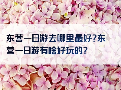东营一日游去哪里最好？东营一日游有啥好玩的？
