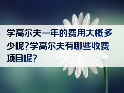 学高尔夫一年的费用大概多少呢？学高尔夫有哪些收费项目呢？