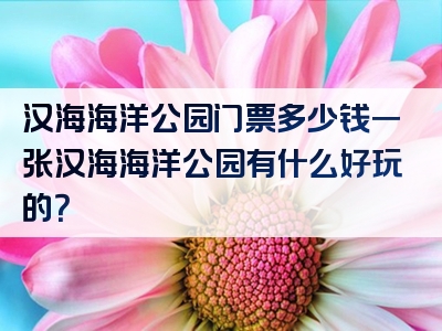 汉海海洋公园门票多少钱一张汉海海洋公园有什么好玩的？