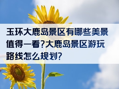 玉环大鹿岛景区有哪些美景值得一看？大鹿岛景区游玩路线怎么规划？