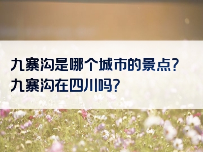 九寨沟是哪个城市的景点？九寨沟在四川吗？