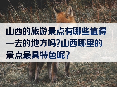 山西的旅游景点有哪些值得一去的地方吗？山西哪里的景点最具特色呢？