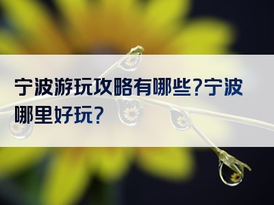 宁波游玩攻略有哪些？宁波哪里好玩？