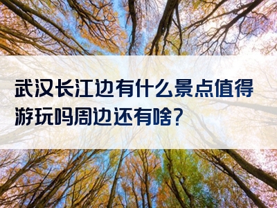 武汉长江边有什么景点值得游玩吗周边还有啥？