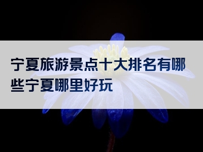 宁夏旅游景点十大排名有哪些宁夏哪里好玩