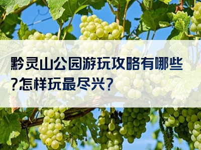 黔灵山公园游玩攻略有哪些？怎样玩最尽兴？