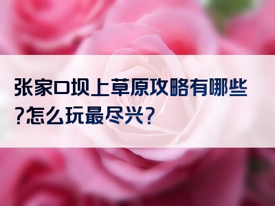 张家口坝上草原攻略有哪些？怎么玩最尽兴？